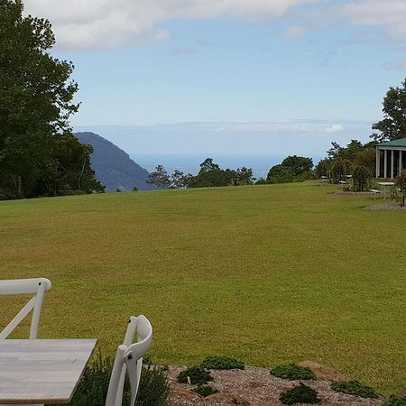Lookout Mountain Retreat Motell Dorrigo Exteriör bild