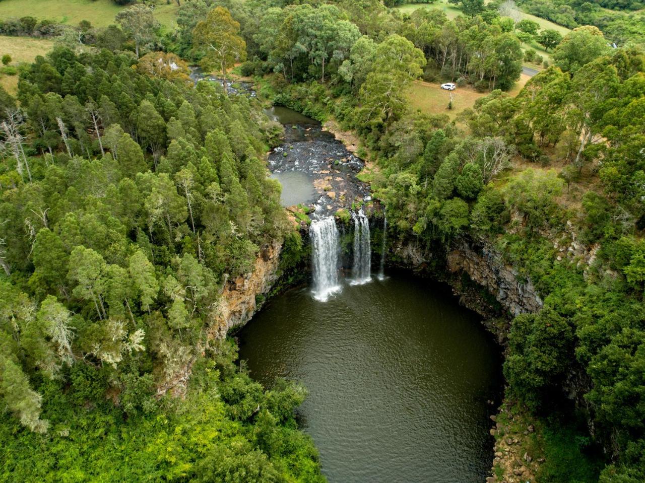 Lookout Mountain Retreat Motell Dorrigo Exteriör bild