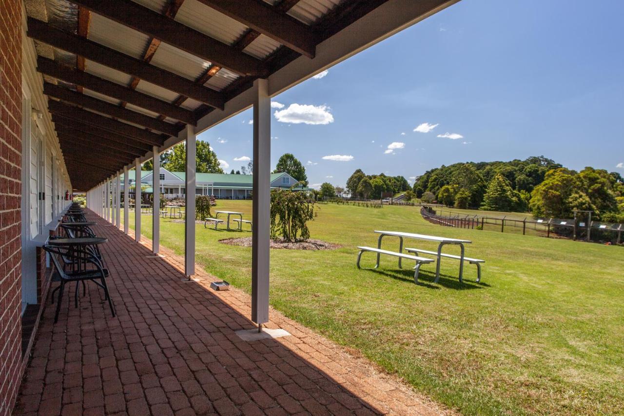 Lookout Mountain Retreat Motell Dorrigo Exteriör bild
