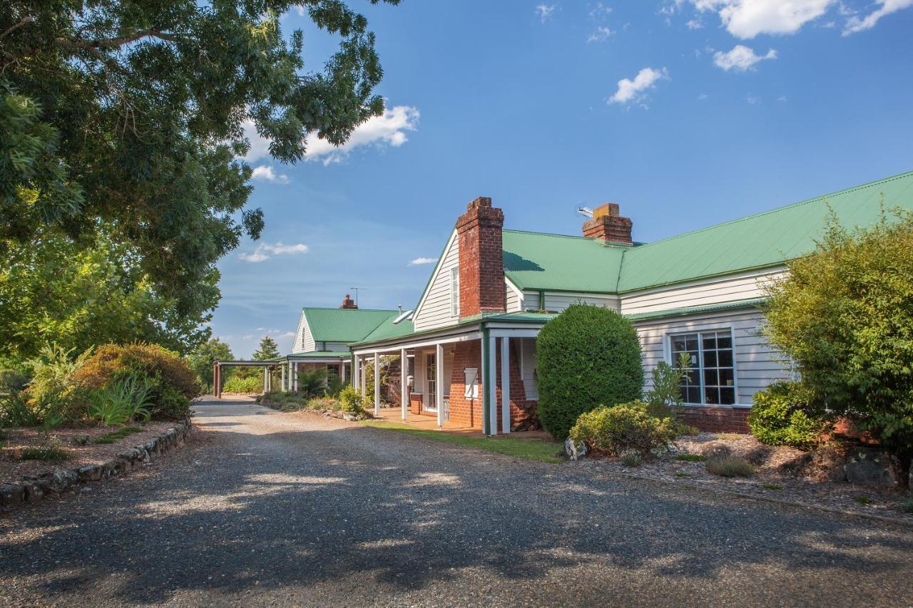 Lookout Mountain Retreat Motell Dorrigo Exteriör bild