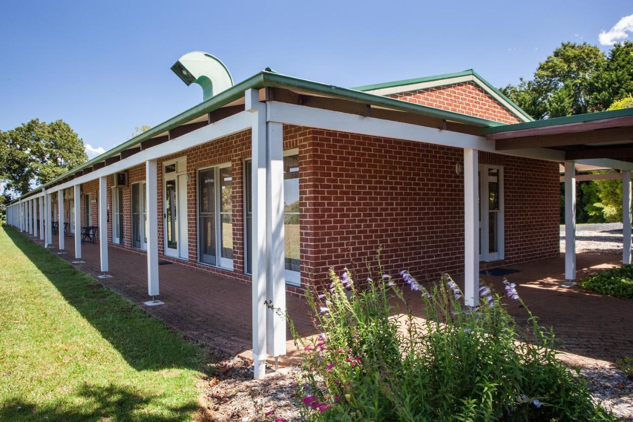 Lookout Mountain Retreat Motell Dorrigo Exteriör bild