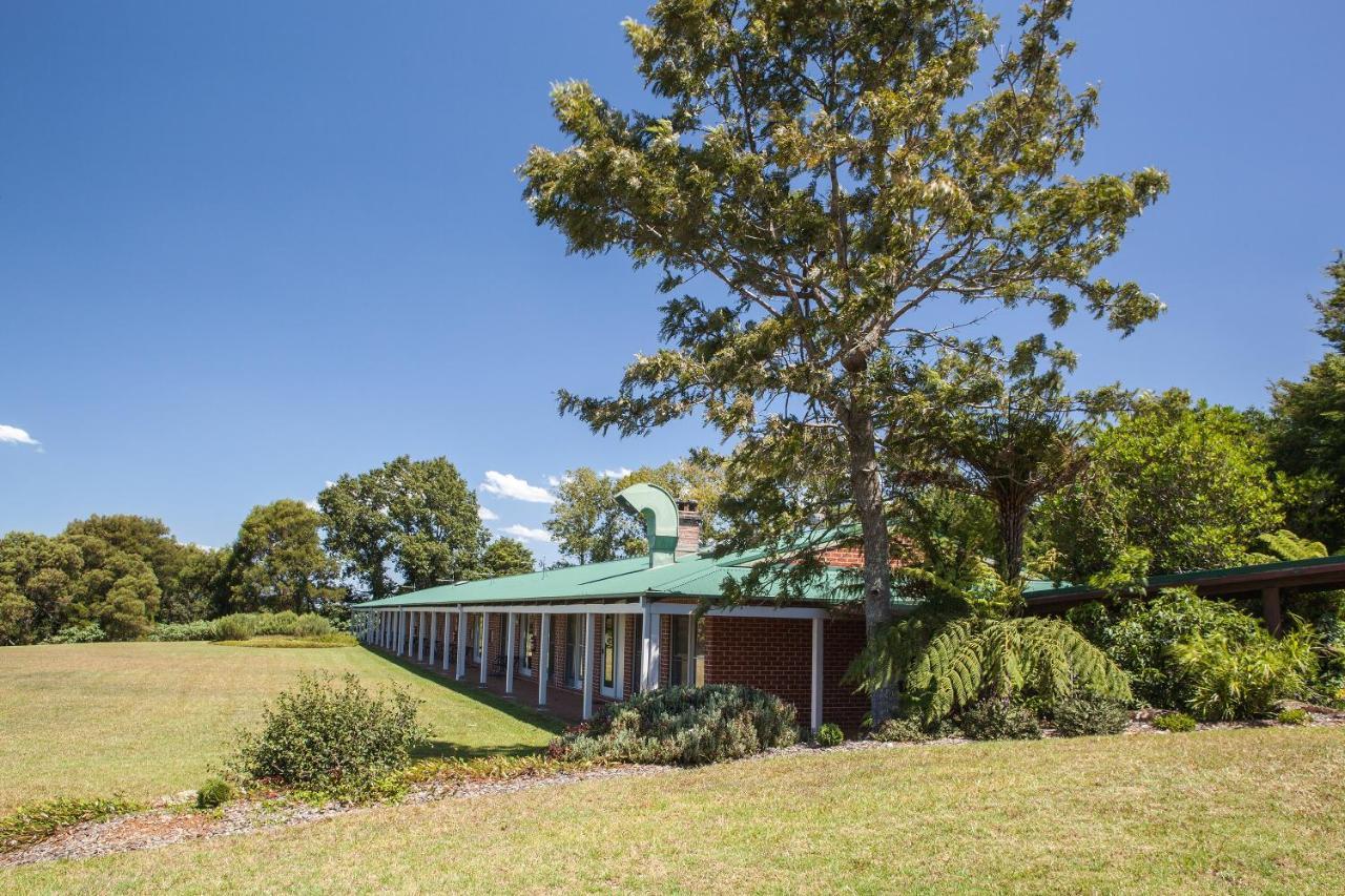 Lookout Mountain Retreat Motell Dorrigo Exteriör bild