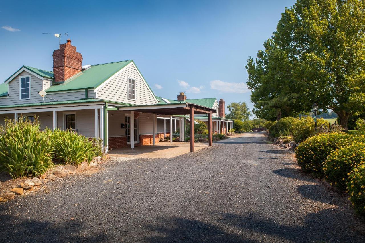 Lookout Mountain Retreat Motell Dorrigo Exteriör bild